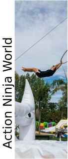 Adventure Ninja World